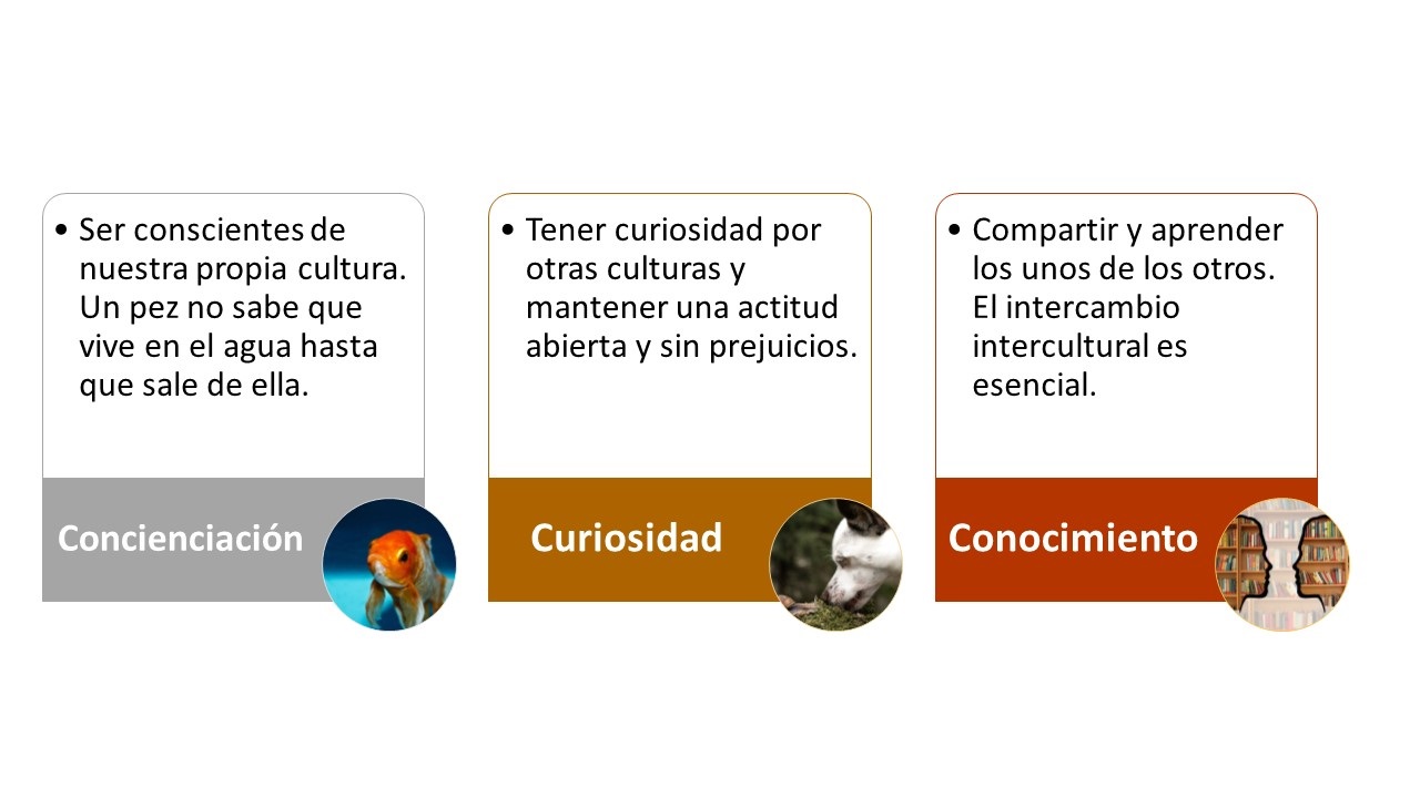 Las tres C de la competencia intercultural: CONCIENCIACIÓN, CURIOSIDAD Y CONOCIMIENTO