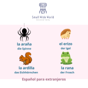 M93 Vocabulario animales