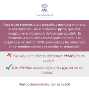 M84 ¿”PYME”, “pyme” o “Pyme”?