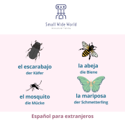 M93 Vocabulario animales